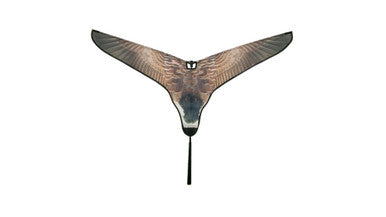 Avery Super Flag -Canada Goose